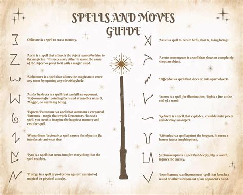 A Beginner's Guide to